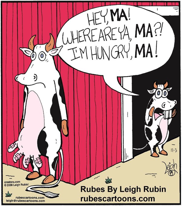 55ba79c31d0000300014355c