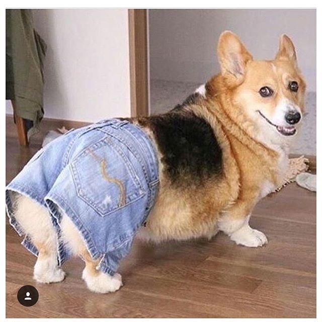 5596623b92e05ffaaa0e3782f0d1de21